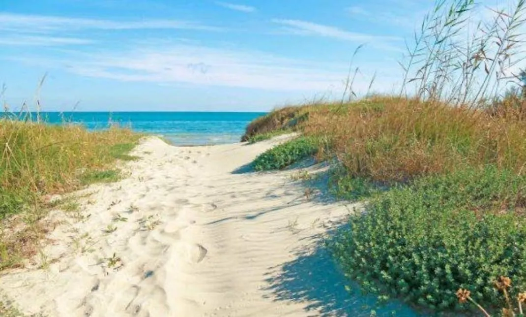 House On The Beach Apartment Calambrone