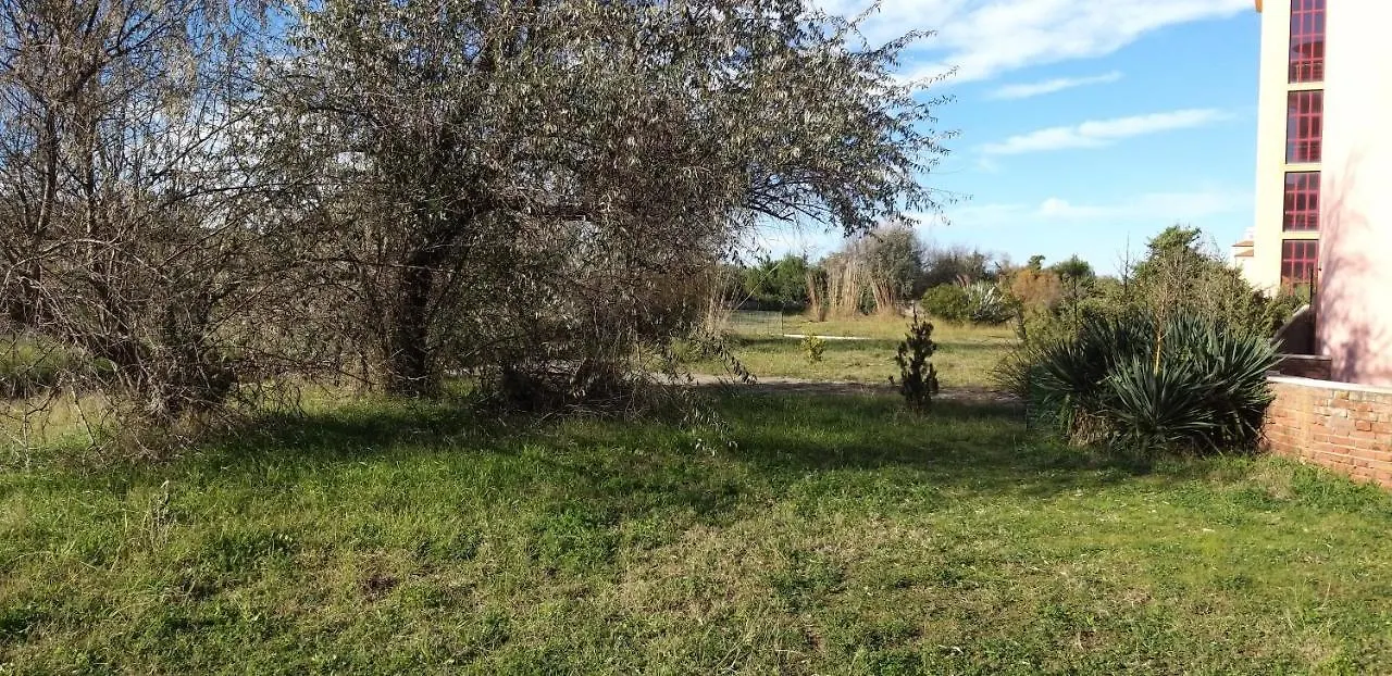 Appartamento House On The Beach Calambrone